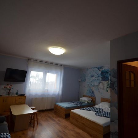 Pod Modrzewiem Mieszkania Wakacyjne Duszniki Zdrój Buitenkant foto