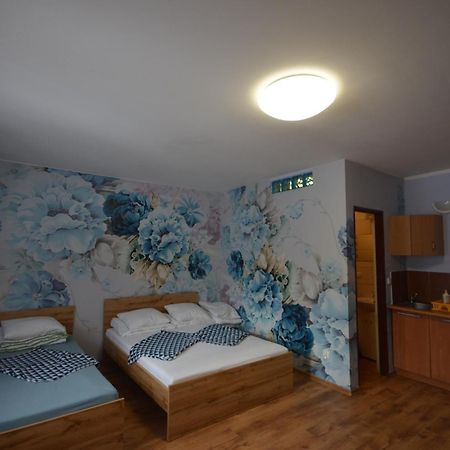 Pod Modrzewiem Mieszkania Wakacyjne Duszniki Zdrój Buitenkant foto