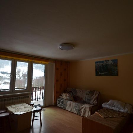 Pod Modrzewiem Mieszkania Wakacyjne Duszniki Zdrój Buitenkant foto